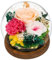 CSYY Rosa Eterna, Regalo para el día de la Madre Luces LED Flor Preservada Bola de Cristal Vidrio Claveles Preservados Infinito Flor Eternos Mujeres Mamá Novia Esposa Día de Cumpleaños Rosa