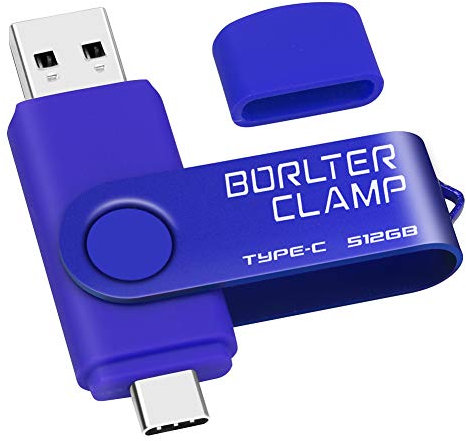 Clé USB Type C 512 Go, BorlterClamp Mémoire Stick Double Connecteur USB C 3.0 U Disque Flash Drive pour Smartphone Android Samsung S10/S9, Huawei Honor, etc., Tablette et Ordinateur (Bleu)