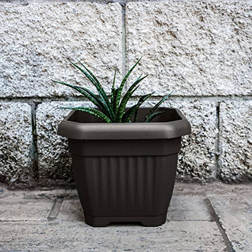 REPLOOD Vaso Gaia Quadrato Con Sottovaso Self Waterer Vaso per Fiori e con Riserva Acqua in Plastica Dura (20x20cm, Grigio)