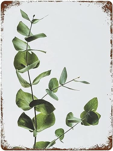 Metall-Blechschild, Eukalyptus, grüne Flora, Blätter, Retro-Poster, Pflanzenschild, Heimdekoration, Neuheit, Küche, Bar, Club, Garage, Garten, Bauernhof, Wandkunst, Schilder, Geschenk, 30,5 x 40,6 cm