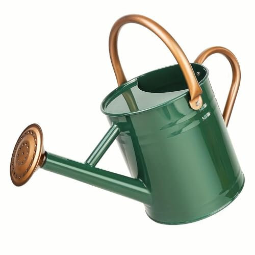 NYSDM Annaffiatoio in Metallo Verde beccuccio Rimovibile - Acciaio zincato Resistente con Dettagli in Rame per Piante da Interno e da Esterno