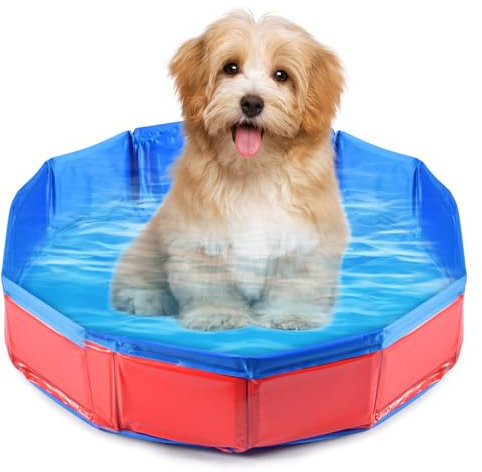 Qooloo Piscina para Perros Plegable,Mascota Piscina Portátil, Piscina Antideslizante de PVC,Piscina de Perros Portátil, Piscina Perros, para Mascota Perro Gato PVC Antideslizante (50 x 8 cm)