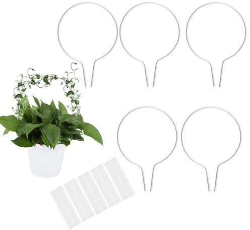 lasuroa 5pcs Round Acrylic Trellis for Climbing Plants, Small Plant Trellis House Plant Accessoriess for Indoor Outdoor Pothos Vine Ivy Monstera Hoya Flowers