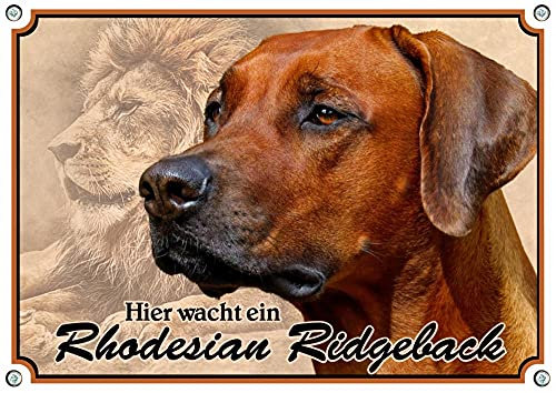 Petsigns Hundeschild Rhodesian Ridgeback - rostfreies uv-beständiges METALLSCHILD, DIN A5