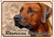 Petsigns Hundeschild Rhodesian Ridgeback - rostfreies uv-beständiges METALLSCHILD, DIN A5