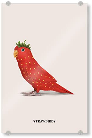 artboxONE Acrylglasbild 30x20 cm Tiere Strawbirdy Bild hinter Acrylglas - Bild Parrot Bird Contemporary Art