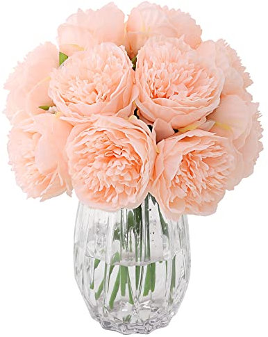 JOYHAZE Künstliche Pfingstrosen, Seide, Einzelstiel, Pfingstrosen, künstliche Blumen für Hochzeit, Zuhause, Büro, Party, Fensterdekoration, Tischdekoration,8 Stück (Champagner Pink)