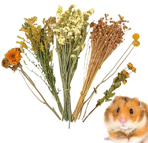 Generisch Trockenblumen Für Hamster - 25 cm Natürlich Getrocknete Pflanzen | Hamster Heupflanzen Einstreu | Blumenbettwäsche | Pflanzen Hamsterstreu | Deko Für Tierlebensräume