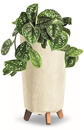 botle Vaso da fiori con piedini, altezza 24 cm, in plastica cremosa, effetto cemento, vaso per soldi, cactus, albero di gomma