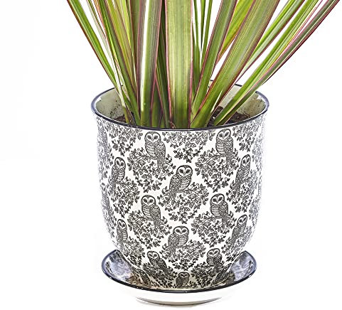 CHIVE ‘Liberte’ Ceramic Succulent Pots — 4.25” Cute Vintage Farmhouse Style Planters for Indoor Plants — Beautiful Home & Kitchen Decor — Black Owls