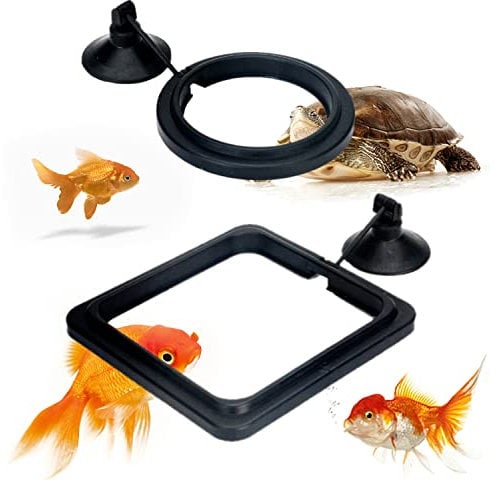 2 Stück XPOOP Fischfutterring, Futterring Aquarium, Fisch Futterring Teich, Aquarium Feeding Station, Futterring mit Saugnapf für Guppy, Bettas, Goldfisch, Schildkröte (Schwarz)