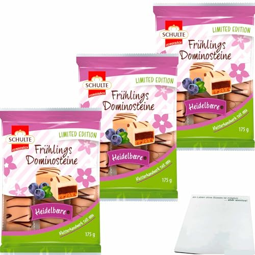 usy Bundle für Schulte Frühlings Dominosteine Heidelbeere 3er Pack (3x175g Packung) + usy Block