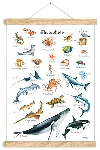 fioniony POSTER 50 x 70 cm MEERESTIERE WEIß UNGERAHMT OHNE HOLZLEISTE Tierposter Lernposter Schulanfang 1. Klasse Kinderposter Kinderzimmer Deko Geburt Babyzimmer Wandbild Schule Kindergarten