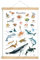 fioniony POSTER 50 x 70 cm MEERESTIERE WEIß UNGERAHMT OHNE HOLZLEISTE Tierposter Lernposter Schulanfang 1. Klasse Kinderposter Kinderzimmer Deko Geburt Babyzimmer Wandbild Schule Kindergarten