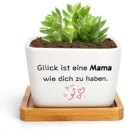 RRIGETEN Muttertagsgeschenke Für Mama Geschenke Für Mama Blumentopf Geburtstagsgeschenk Für Mama Geschenk Beste Mama Geschenk Für Mutter Valentinstagsgeschenk