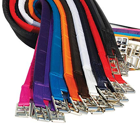 Rhinegold 30 DE Sattelgurt, Baumwolle, gepolstert, 96,5 cm, Türkis Umfang, (38W) UK