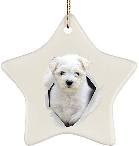 Christbaumschmuck Mit Hanfseil Weihnachtsanhänger Keramik Christbaumschmuck Anhänger Lustige Maltipo-Creme, Die Aus Einer Rissigen Wand Kommt