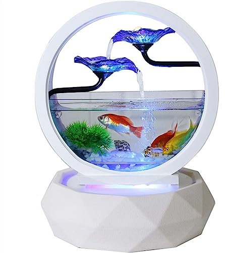 yixinzi-2024 Pecera Pecera Redonda de Cristal Transparente, pecera Dorada for Sala de Estar, Escritorio ecológico pequeño, decoración for pecera de Acuario en casa Acuario