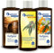 Spitzner Kit d'infusion de sauna dans une boîte cadeau pour soirée entre hommes : eucalyptus, whisky et argousier (3 x 190 ml)