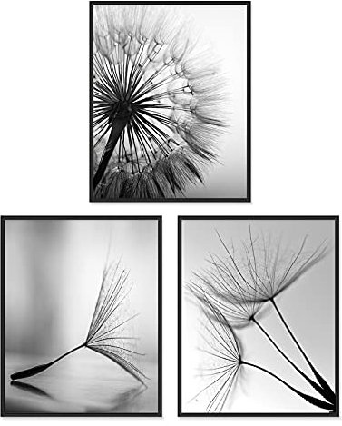 Lot de 3 impressions d'art mural noir et blanc, décoration minimaliste, 28 x 35,6 cm, sans cadre, affiches de plantes, esthétiques pour le salon