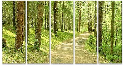 islandburner Bild auf Leinwand Gewundener Pfad Durch Üppige Laub Finnland Wandbild Poster Kunstdruck Bilder