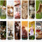 12 Pièces Marque-Pages Magnétiques Marqueurs de Page Magnétiques Ensemble de Marqueurs de Livre Assortis Marque-Pages de Lecture pour Étudiants (Chat)