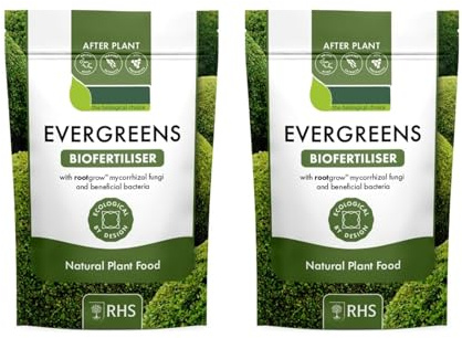 HOCHSTE After Plant Evergreens with Root grow, Mycorrhizal Fungi & Biostimulant Feed for Evergreen Trees, Shrubs, Hedges & Conifers, Root Support & Healthy Plant Growth Formula, 1kg (2 Pcs)