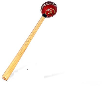 CW Cricket World - Mazza da cricket in legno, per bussare, perfetta per la potenza della mazza