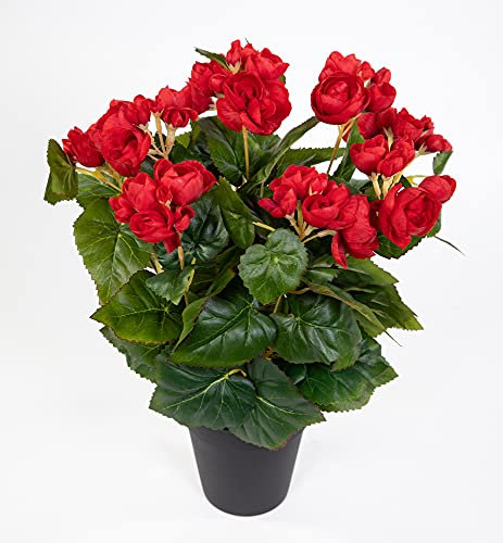 Seidenblumen Roß Begonie 38cm rot im Topf LM Kunstpflanzen Kunstblumen künstliche Blumen Pflanzen Begonienbusch