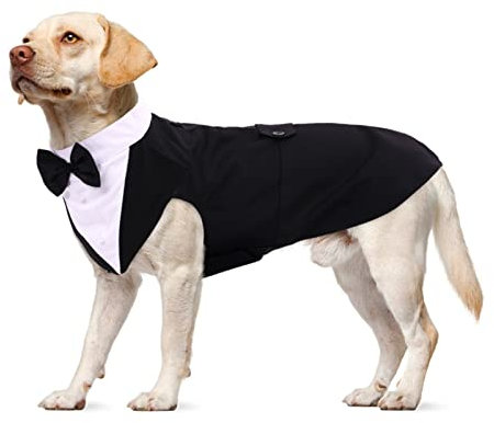 Set Abito e Bandana per Cani, Smoking Formale Camicia Cani per Matrimoni Cani Vestito Tie Suit Bavaglino con Papillon Rimovibile per Cani di Taglia Piccola Media Grande(Nero, XL)