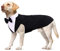 Hundekostüm für Hunde - Weihnachten & Halloween Kostüm für Große & Kleine Hunde - Smoking Shirt & Weihnachtsoutfit (Schwarz, XL)