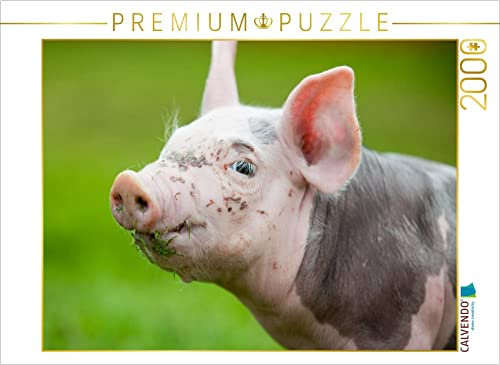 CALVENDO Puzzle Schwein 2000 Teile Lege-Größe 90 x 67 cm Foto-Puzzle Bild von BO Valentino