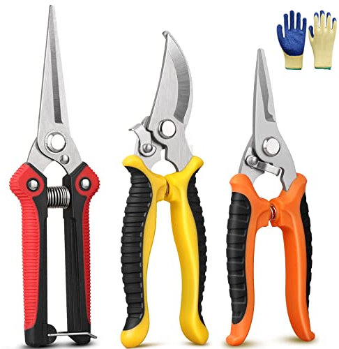 GEEDIAR Garden Secateurs, 3 Pack Pruning Scissors Kit with Stainless Steel Blade Locking Mechanism and Garden Gloves for Fruit Branch, Hedge, Bouquet Making & Vegetables, Plants