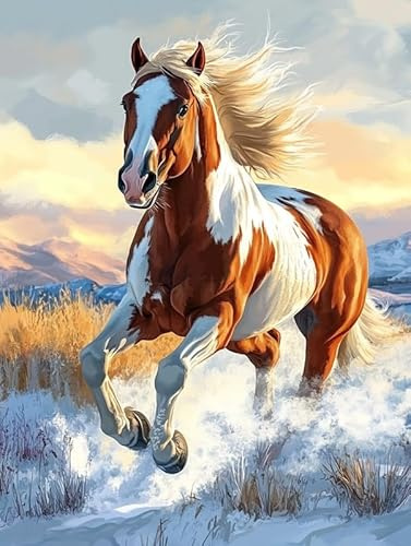 Bimkole 5D Diamond Painting Kits Zubehör Pferd, Tier Diamant Malerei Kit Voll Runde Bohrer Malen nach Zahlen Malerei Stickerei Kreuzstich Diamond Dekoration 30x40 cm