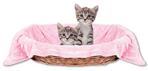 Bestlivings Haustierdecke Katzendecke Kuscheldecke Tierdecke, angenehm und super weich in vielen erhältlich (90x140 cm/rosa - babyrose)