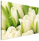 Estika Leinwand bilder - Weiße Tulpen - 120x80 cm, 1 teilige kunstdruck - Wandbilder wohnzimmer, schlafzimmer, Moderne wanddeko, Bild auf leinwand - Blumen bilder - 1254A_1B