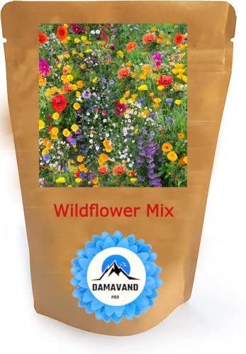 Semi di fiori selvatici più di 21 semi puri profumati senza grasso prato ape farfalla mix prato cottage giardino UK Seed (50 g)