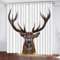 GIOVIA 3D Elch Vorhang Abdunkelnde Tier Hirsch Polyester Vorhänge mit ösen 2er Set Gardinen Blickdicht Verdunkelungs Geräuschreduzierung für Schlafzimmer Wohnzimmer B 220 X H 215 cm