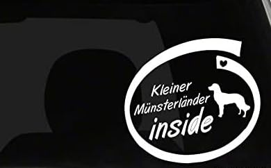 Rakelfix Aufkleber Kleiner Münsterländer Inside Typ 103/ ca. 17 cm für Lack oder Scheibe ohne Hintergrund