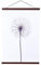 Ywlake B4 Cadre Photo Magnétique 25 cm, Cadre Poster Porte Affiches 25x30 25x40 Aimanté en Bois Naturel pour Affiche Cadre Magnetique Cadre Affiche Cadre Suspendu (25cm, Noyer)