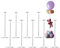 YALLOVE Clear Acryl Tischballon Stand Kit, 40cm 10-Pack, Wiederverwendbar