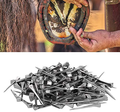 250 Clavos Para Herradura, Kit Surtido De Clavos Para Herradura De Acero, Equipo Para Caballos, Clavos Para Herradura, Equipo Deportivo Ecuestre Para Clavos De Acero Para Caballos, Clavos Para Herradu
