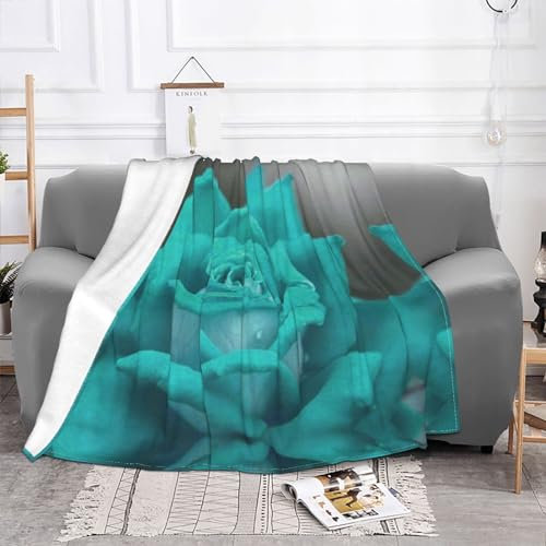 Pretty Rose Fleecedecke – Mikrofaser-Fleece-Decken für Sofa, Bett, Couch und Reisen, 152,4 x 127,7 cm
