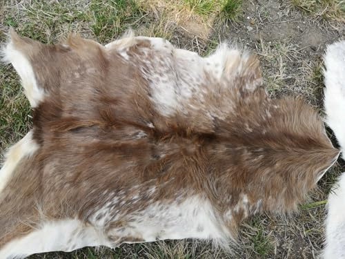 Provellus ECHTE ZIEGENFELLE ZIEGENFELL Fell STARK BESCHÄDIGT GROßE Auswahl SCHNÄPPCHEN (grau, 30-50 cm)