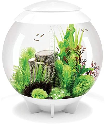 biOrb HALO 60 Acrylic Aquarium, White, MCR Multi-Colour Remote LED Lighting, Premium Fish Tank with Hidden Water Line, 5-Step Filtration, Easy Setup, With Air Pump, Filter Cartridge, Ceramic Media