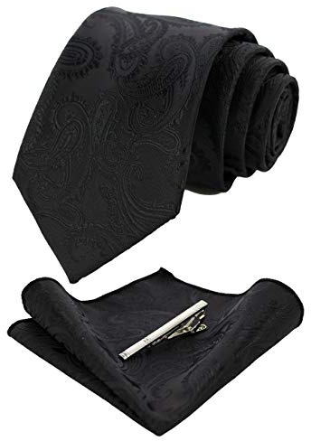 JEMYGINS Set Cravate Homme Motif Paisley avec Pochette et Pince a Cravate pour Mariage Business et Ceremonie