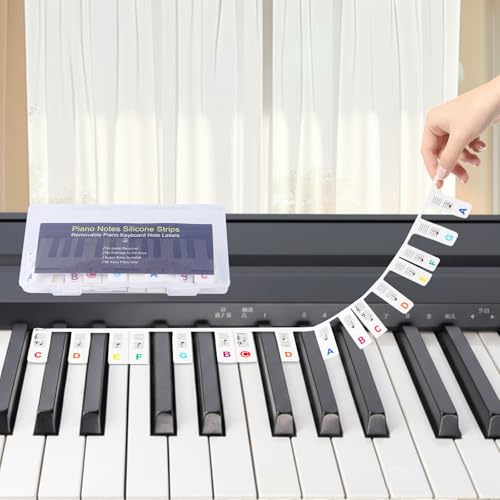 Hyzevee Piano Keyboard Stickers|Movable Piano Keyboard Note Labels|Piano Notes Overlay|Notes Guide for Beginner|88-Key Standard Full-Size Reusable and Comes with Box, Rainbow Color, 1 Pcs