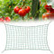 Stütznetz Gartennetz 2x5m,Ranknetz für Gurken,Ranknetz Rankhilfe Pflanzennetz,Ranknetz Gewächshaus,Pflanzennetz,Ranknetz Rankhilfe,Rankhilfe Netz,Ranknetz Grün