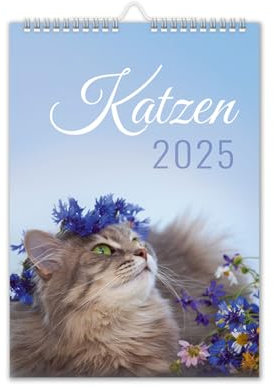 Kalender 2026 Katzen Wandkalender DIN A4 Katzenkalender mit Schulferien Katze-Motiv blau