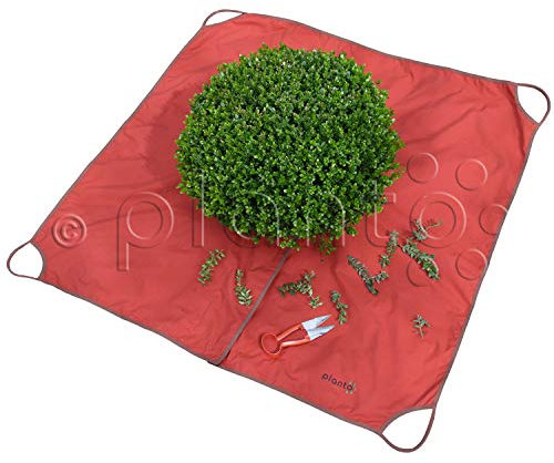 planto Formschnitt-Tuch - das Original, Sauber Buchsbaum schneiden. Arbeitsunterlage für Rück- und Formschnitt. m. 4 Tragegriffen (2 Stück)